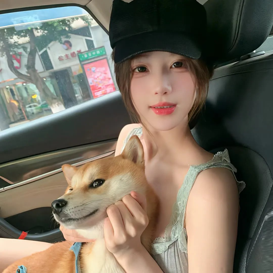 早安总统